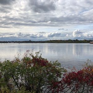 Meet your Posher, Gewels